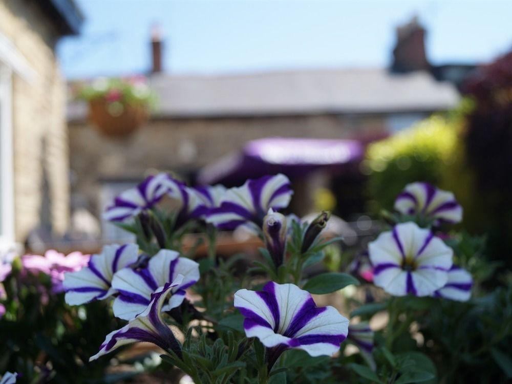 The Plough Bicester Ngoại thất bức ảnh